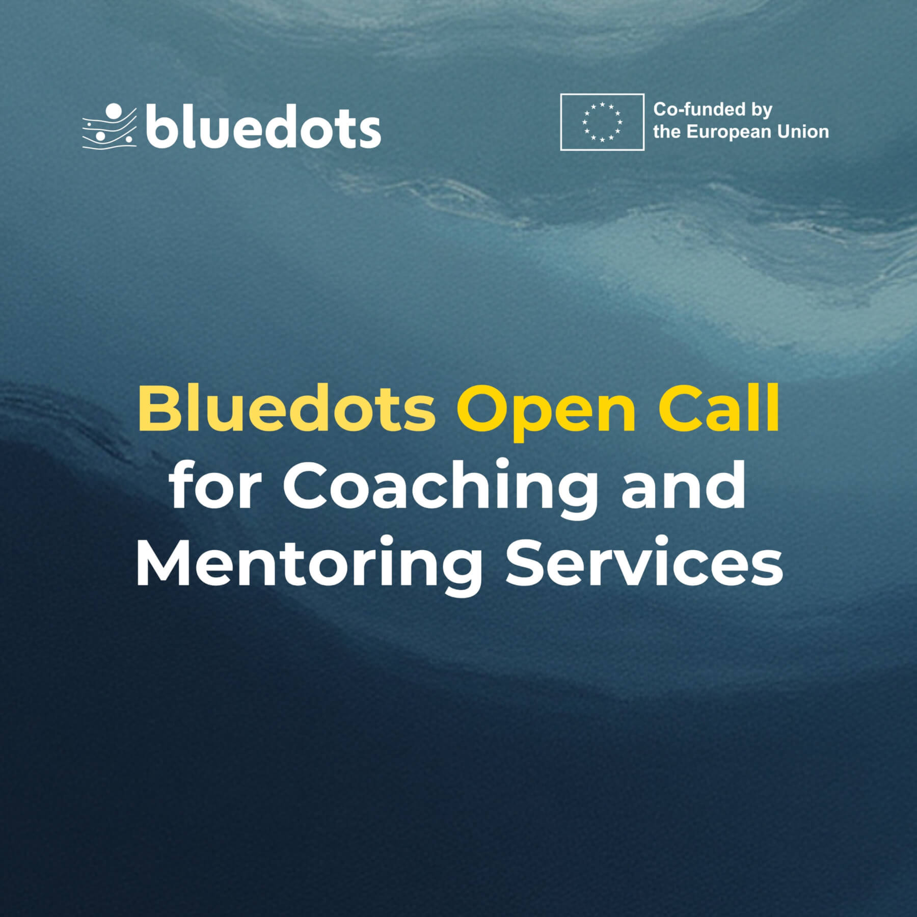 Bluedots Open Call